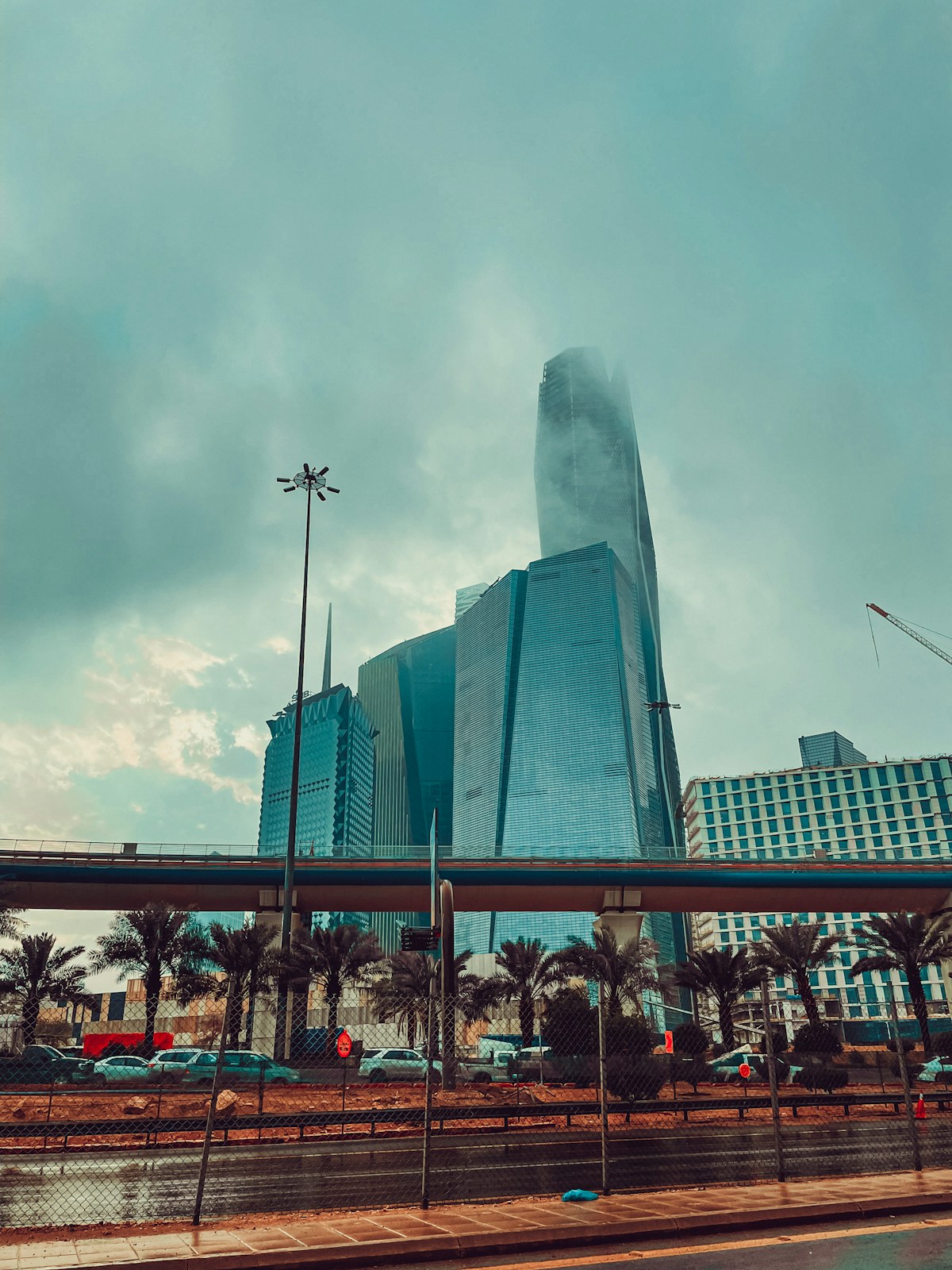 Riyadh architecture and palm trees